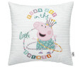 FUNDA DE COJÍN 100% ALGODÓN 45X45CM MODELO FIND JOY B-CYT-254304
