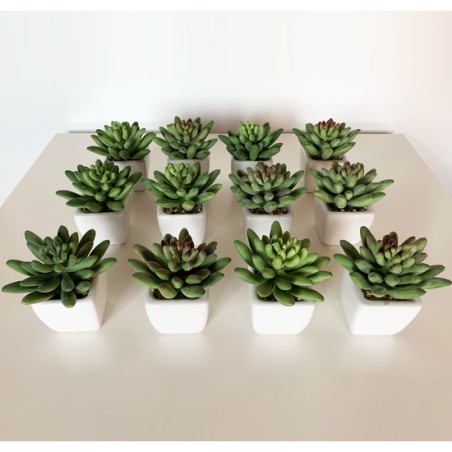 pack 12 cactus marianae surtidos artificiales con maceta de ceramica