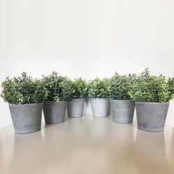 pack 6 plantas surtidas artificiales de 18 cm con maceta en color gris