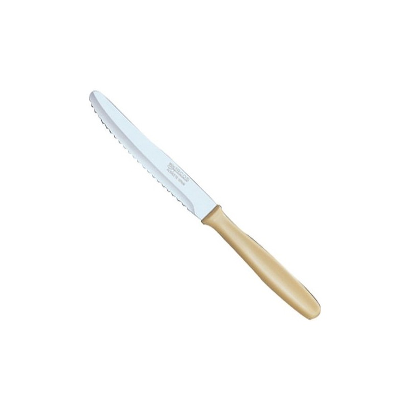 cuchillo mesa mango plastico 3702