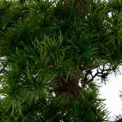 bonsai artificial altura 149
