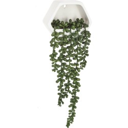 planta colgante de pared contemporánea- altura total con planta caída: 45 cm