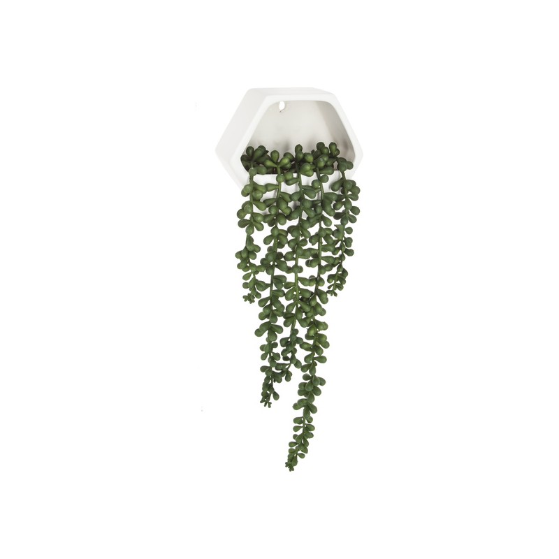 planta colgante de pared contemporánea- altura total con planta caída: 45 cm