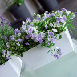 jardinera de plastico coubi case p en color crema 29 x 14,2 x 13,6 cm