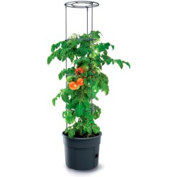 macetero de tomates prosperplast tomate grower de plastico antracita
