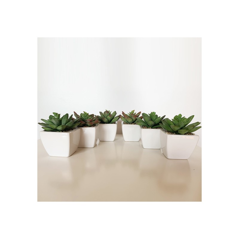 pack 6 cactus crepusculo surtidos artificiales con maceta de ceramica