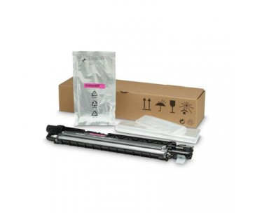 HP Unidad de revelado Color LaserJet 8JM73A para magenta. REF. CSP-349558