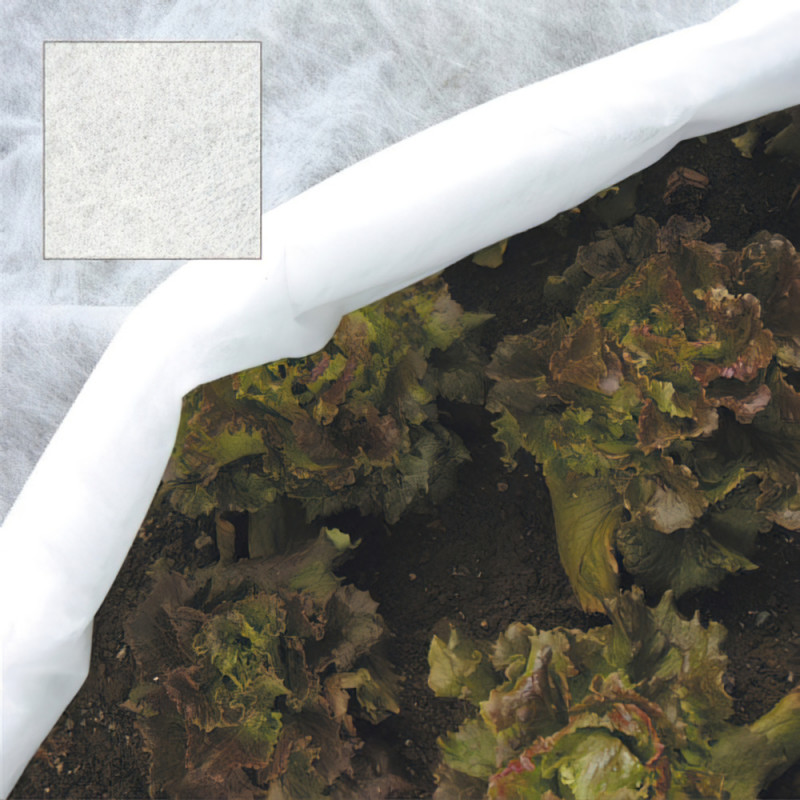 Malla Protectora para plantas 1,6x 250 metros, Ref. FOR-8020149