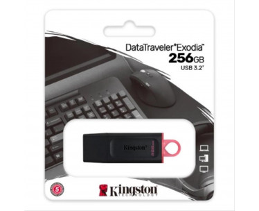 PEN DRIVE 256GB KINGSTON DTX EXODIA USB3.2. REF. CSP-435117