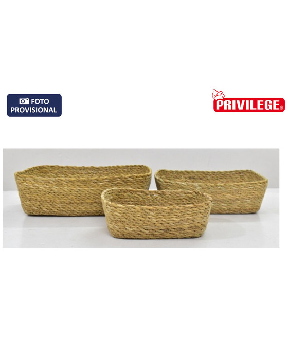 CESTA CONICA MIMBRE RECT 20X15X7CM PRIVILEGE-CYG-449057