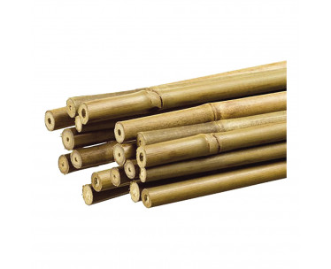 Tutor de bambú decorativo color natural ø1,1cm x1,20m nortene, Ref. CYF-73692