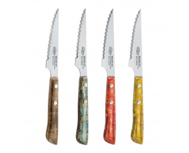Set 4 cuchillos chuleteros evergreen bgeu-6076 san ignacio, Ref. CYF-14714